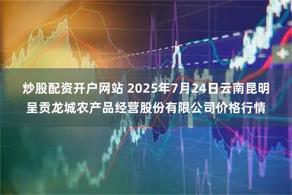 炒股配资开户网站 2025年7月24日云南昆明呈贡龙城农产品经营股份有限公司价格行情